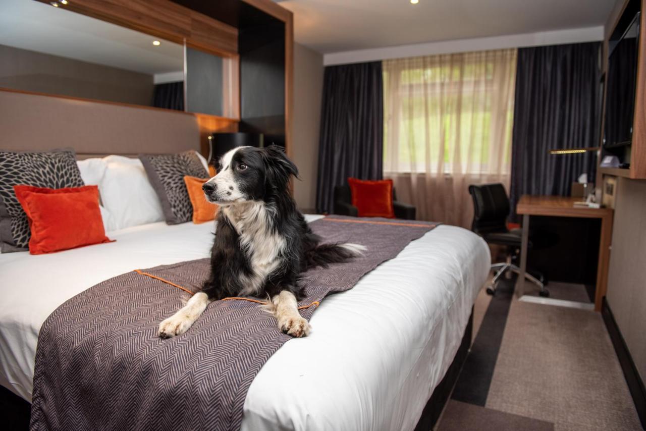 Отель Crowne Plaza Gerrards Cross By Ihg 4*